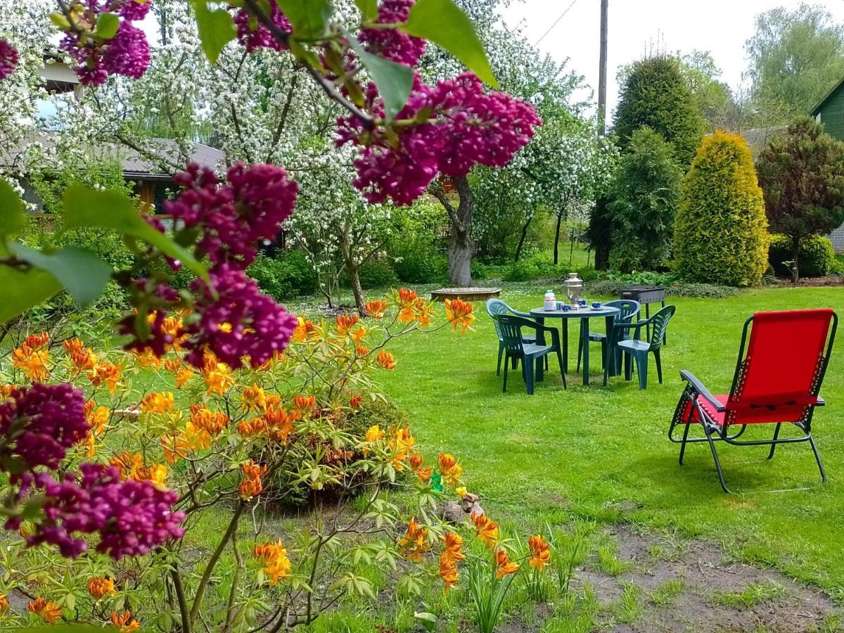 House, Garden & Sauna. Free Parking. Train Stop-200 M. Sea-1 Km. Jūrkalne Buitenkant foto