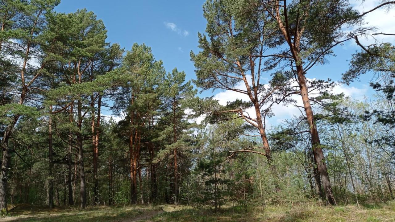 House, Garden & Sauna. Free Parking. Train Stop-200 M. Sea-1 Km. Jūrkalne Buitenkant foto